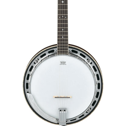 Ibanez BA250 Limited Edition America 250th Anniversary 5-String Banjo