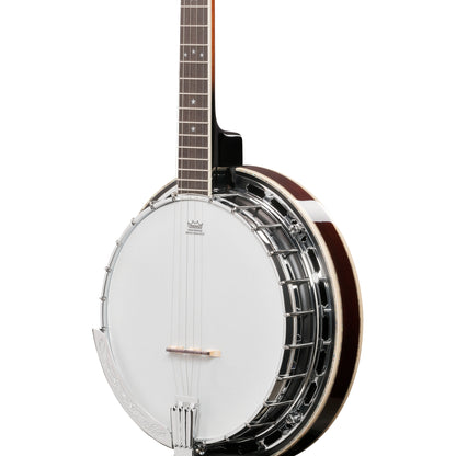 Ibanez BA250 Limited Edition America 250th Anniversary 5-String Banjo