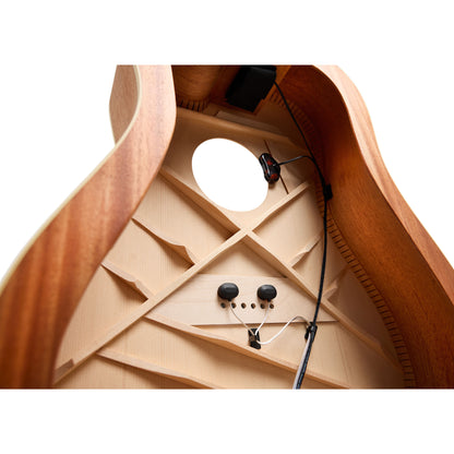 LR Baggs HiFi DNA Pickup System