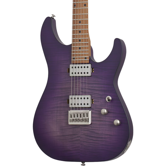 Schecter C-1 Standard Plus Electric Guitar - Transparent Purple Burst