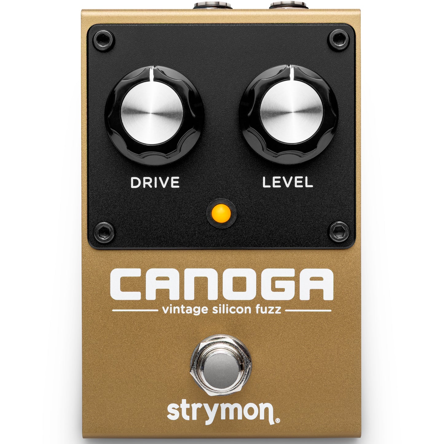 Strymon Canoga 2 Knob Vintage Silicon Fuzz