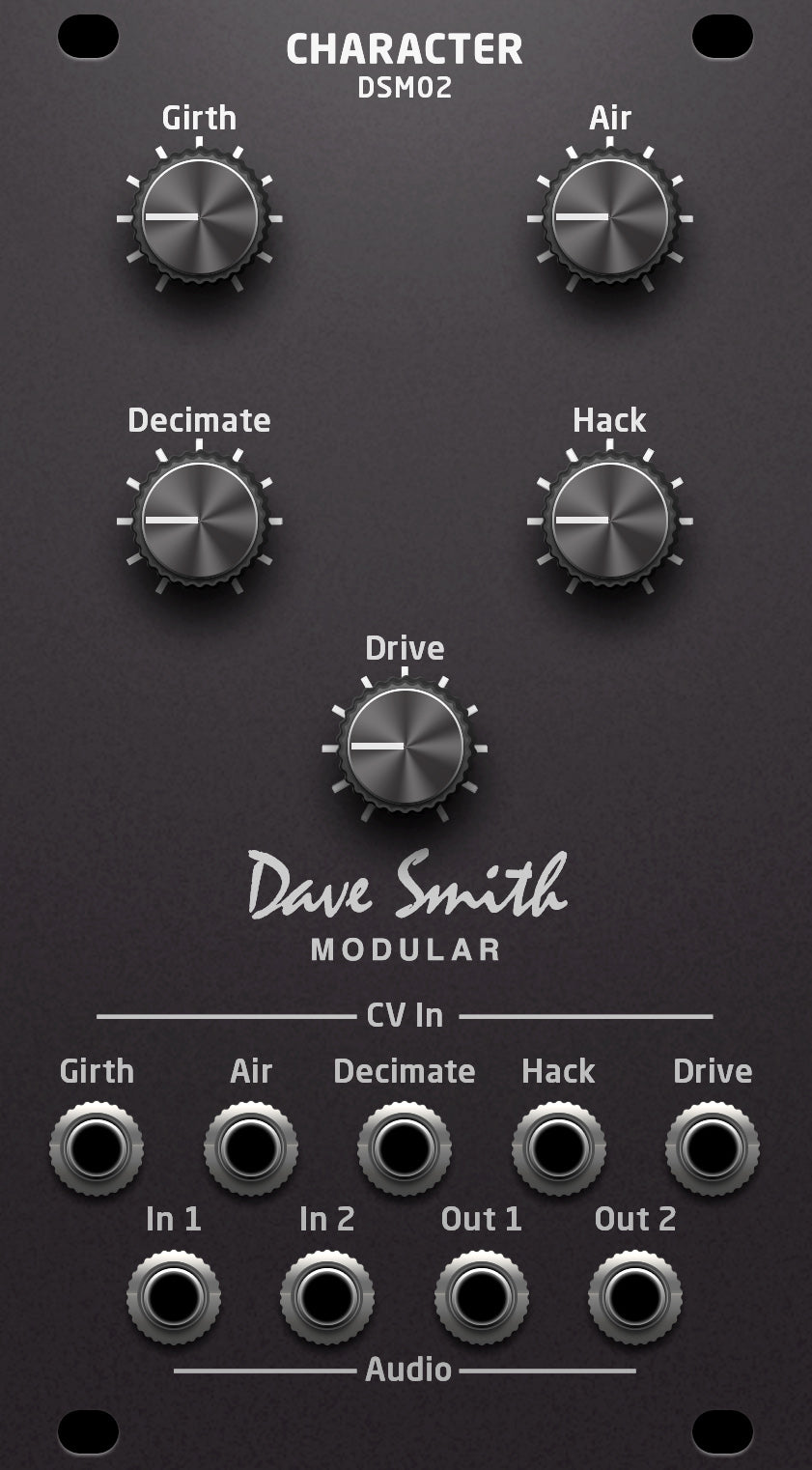 Dave Smith Instruments DSM02 Character Module