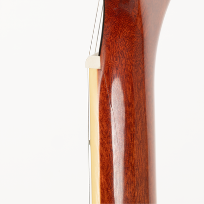 Epiphone Joe Bonamassa 1955 Les Paul Standard Electric Guitar - Copper Iridescent