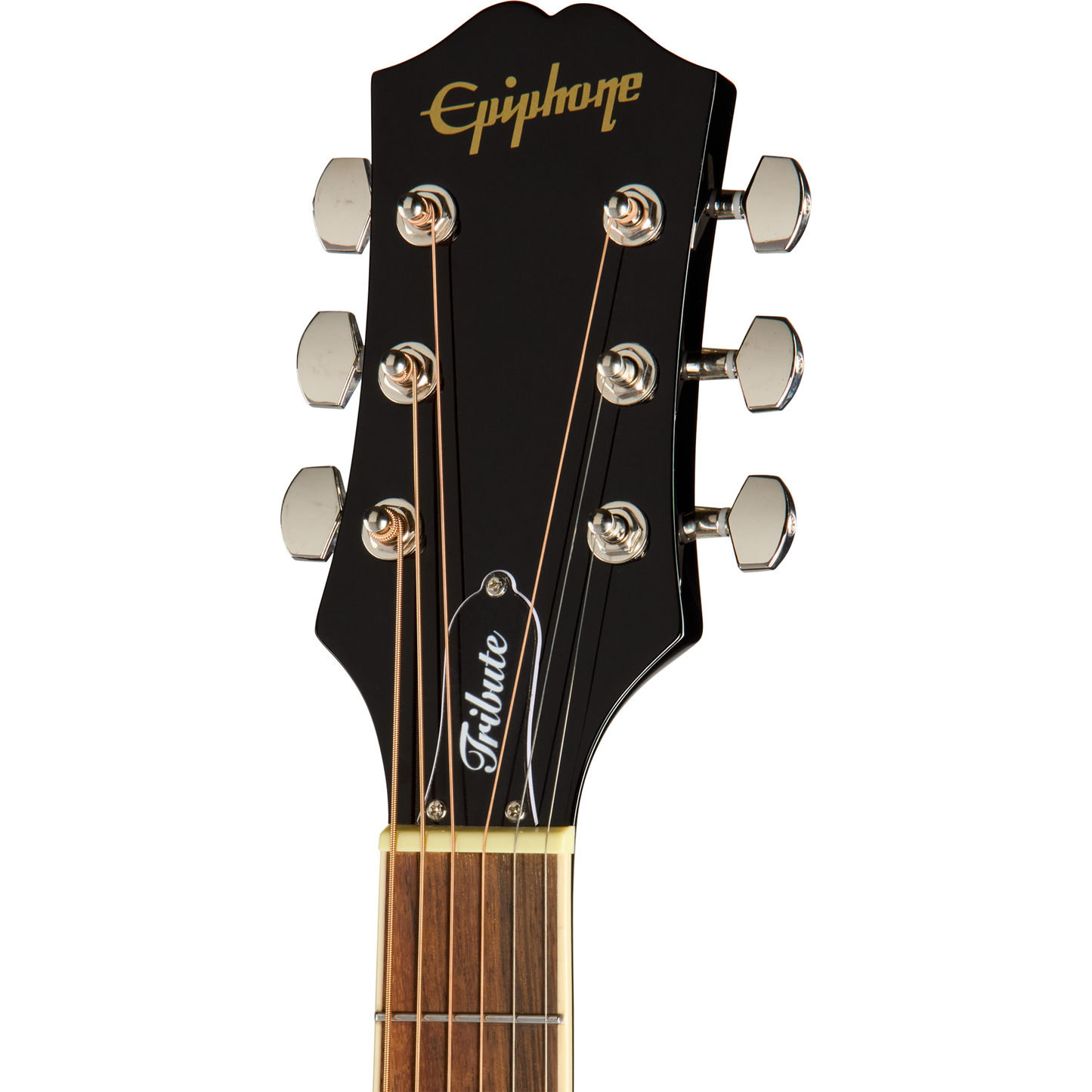 Epiphone Hummingbird Tribute Acoustic Guitar - Ebony