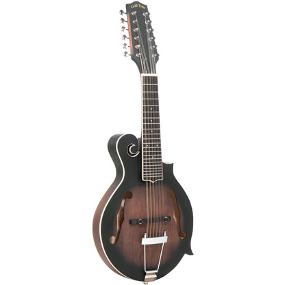 Gold Tone F-12 Long Scale 12 String F Style Mando Guitar w/Case