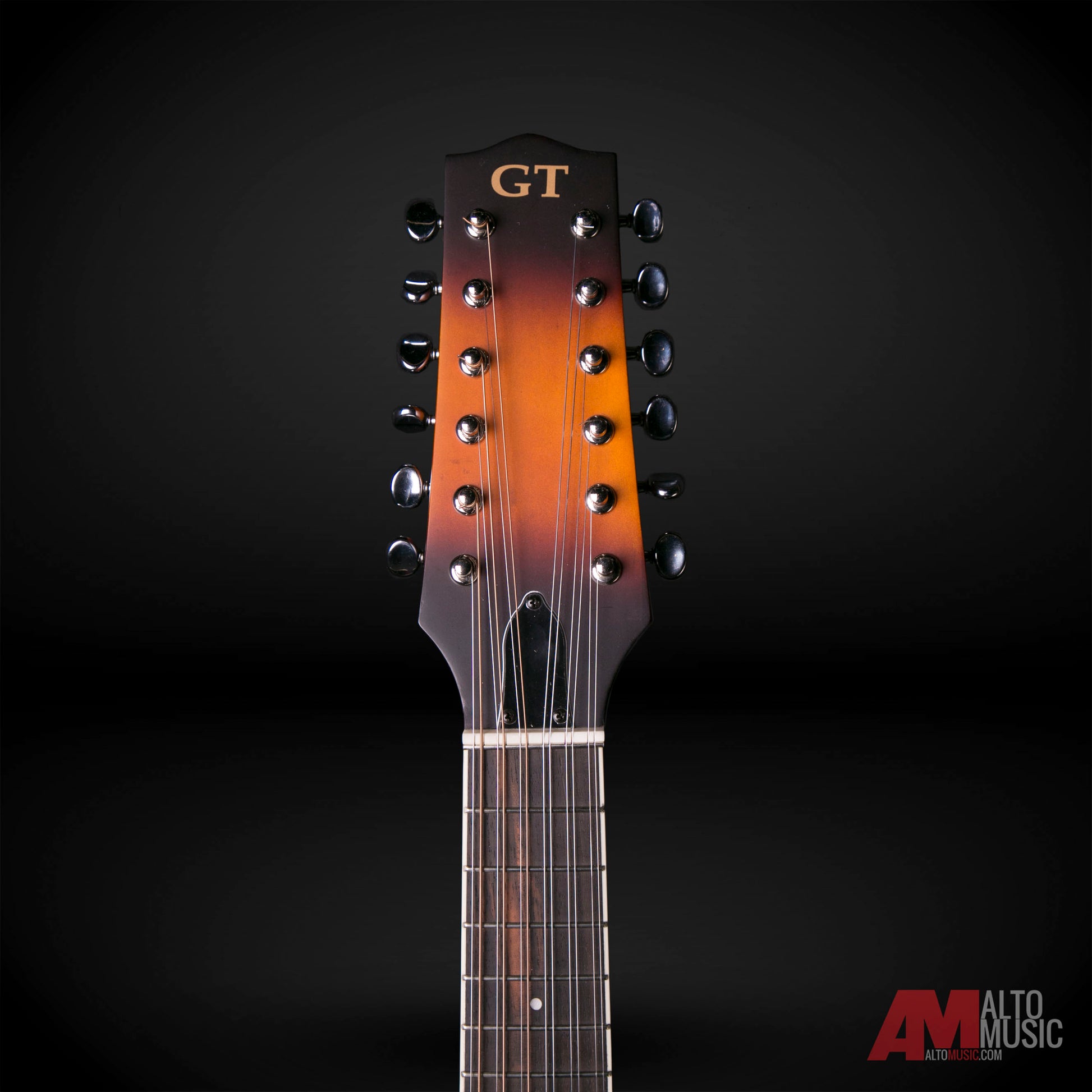 Mandolino A 12 Corde Tone Gold F-Style - Con Pickup E Custodia Inclusa - Foto 3