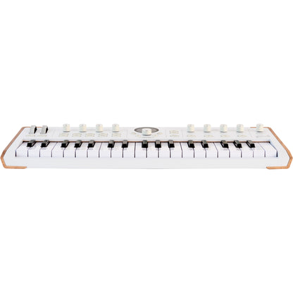 Arturia Astrolab 37 Stage Keyboard