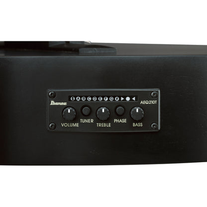 Ibanez GA621 GA Classical Acoustic Electric Guitar - Black Out