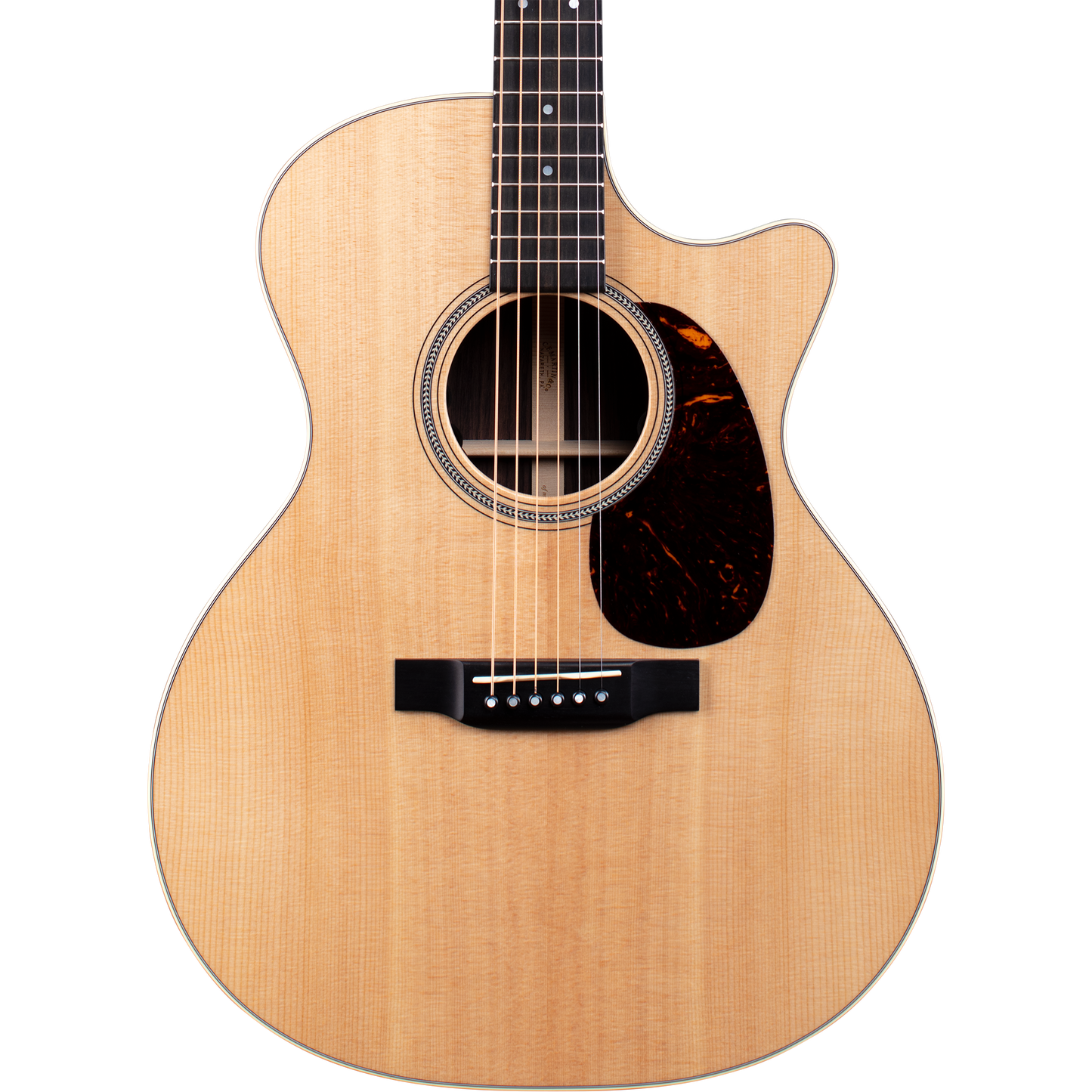 Martin GPC-16E Rosewood Acoustic Electric Guitar