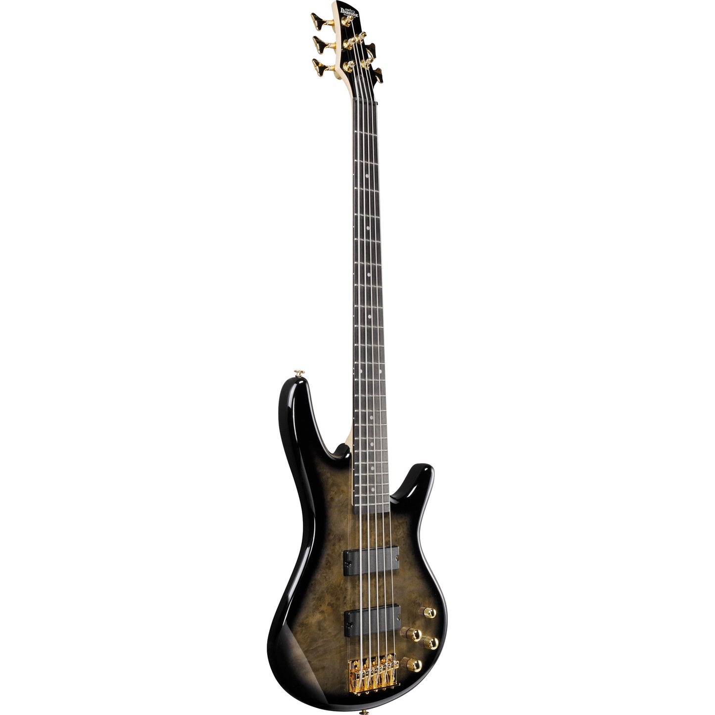 Ibanez GSR205PC Gio SR 5-String Electric Bass - Transparent Pale Black Burst