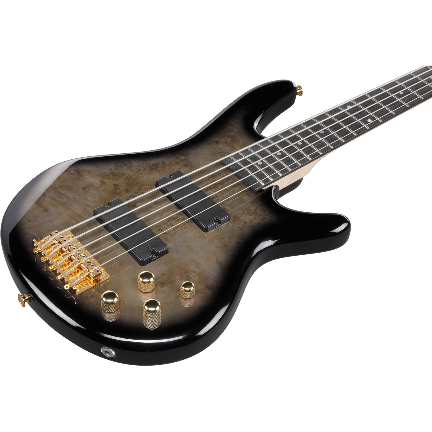 Ibanez GSR205PC Gio SR 5-String Electric Bass - Transparent Pale Black Burst