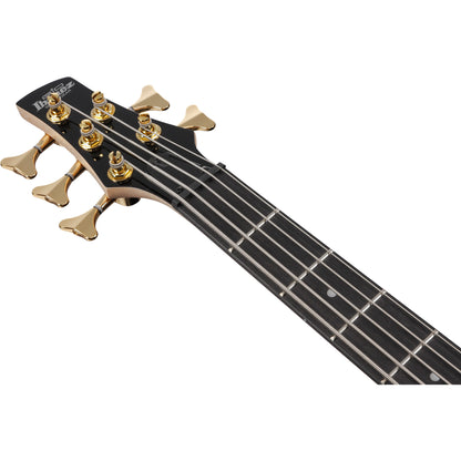 Ibanez GSR205PC Gio SR 5-String Electric Bass - Transparent Pale Black Burst