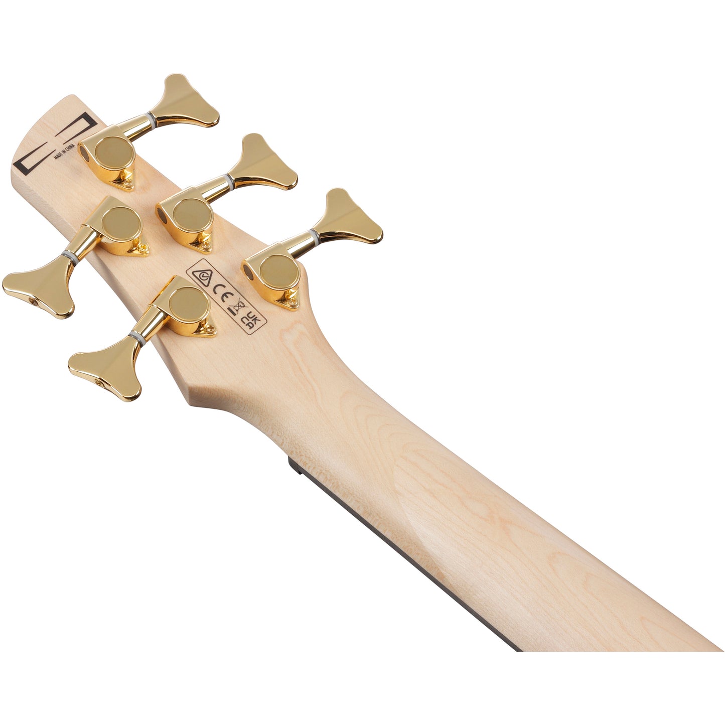 Ibanez GSR205PC Gio SR 5-String Electric Bass - Transparent Pale Black Burst