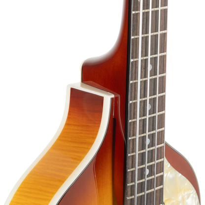 Hofner Violin Electric Bass Guitar Artist - Sunburst