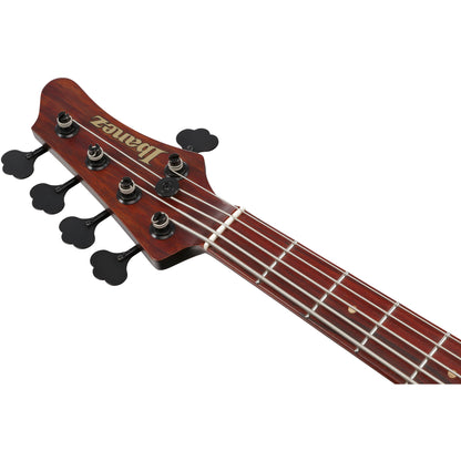 Ibanez IV2MDM MDM Visions Japan Custom Shop 5-String Electric Bass