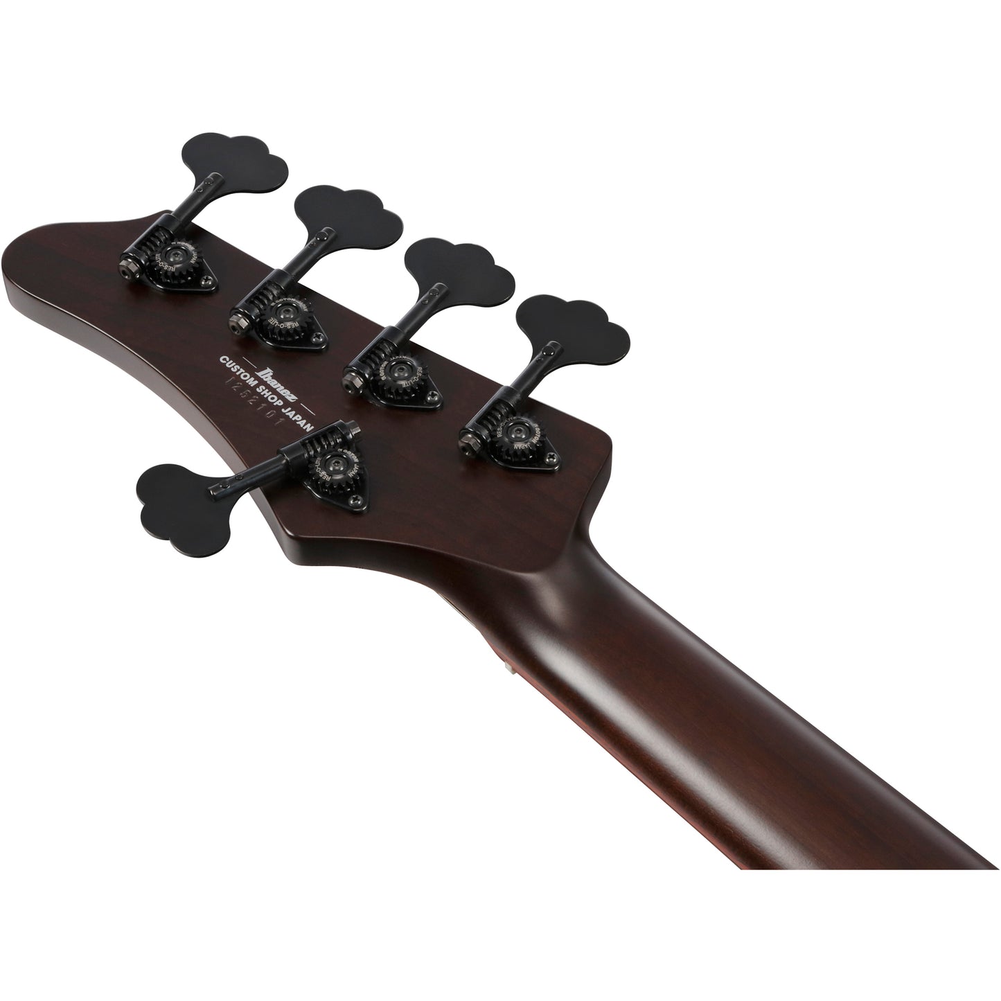 Ibanez IV2MDM MDM Visions Japan Custom Shop 5-String Electric Bass