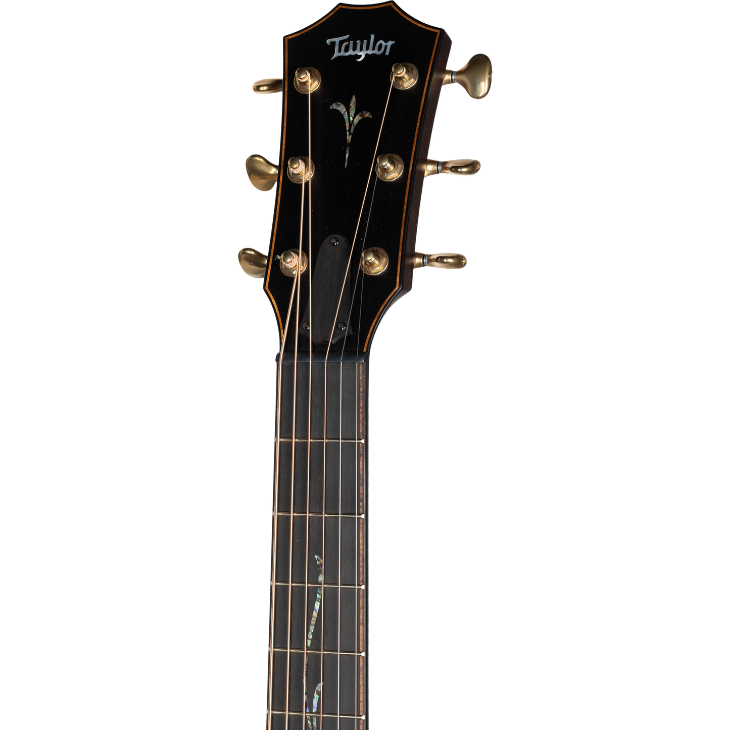 Taylor Next Generation Builders Edition K24ce Acoustic Electric Guitar - Kona Burst