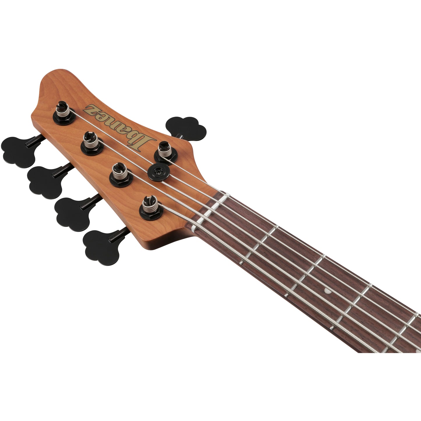 Ibanez MDM1605 MDM 5-String Electric Bass - Natural Mocha Low Gloss