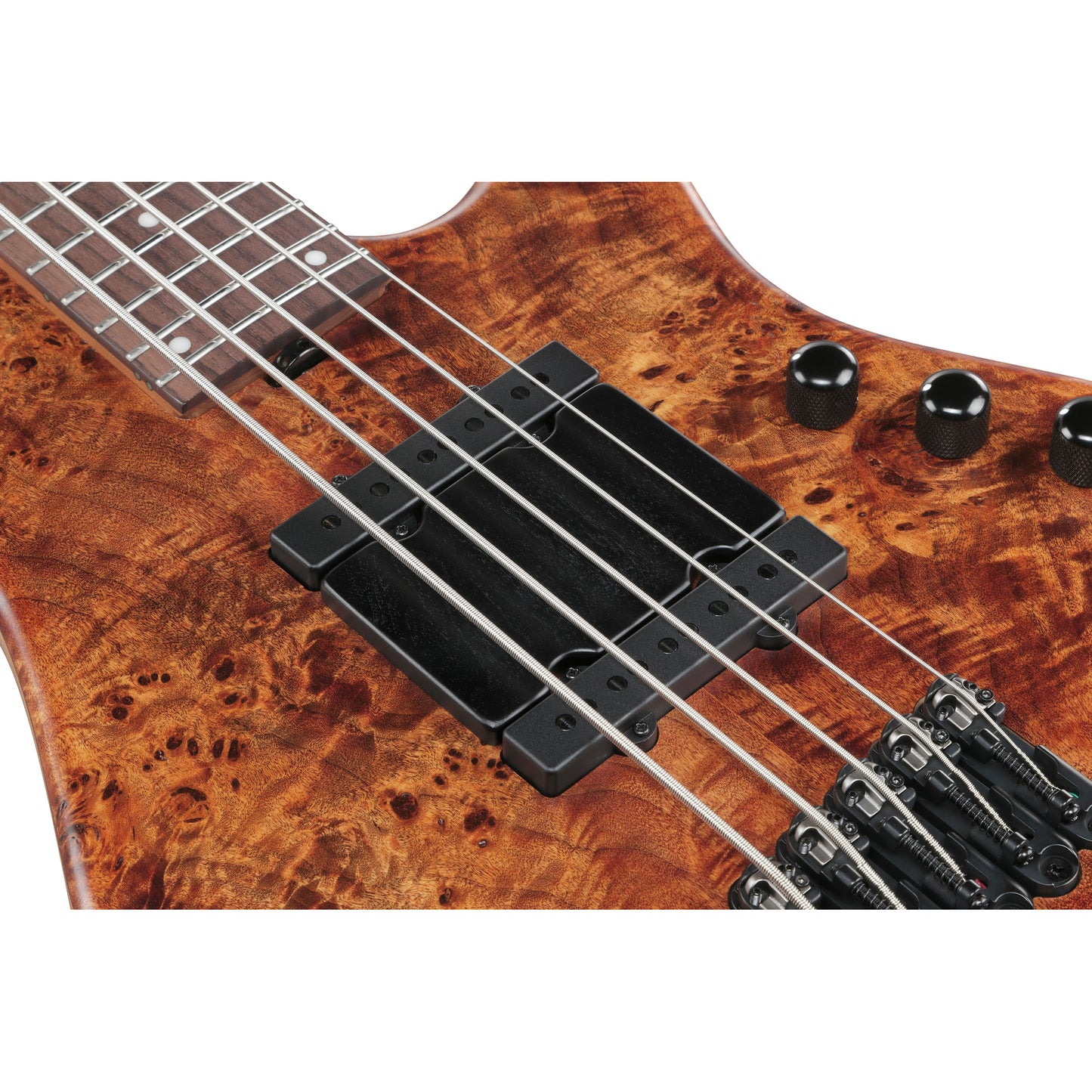 Ibanez MDM1605 MDM 5-String Electric Bass - Natural Mocha Low Gloss