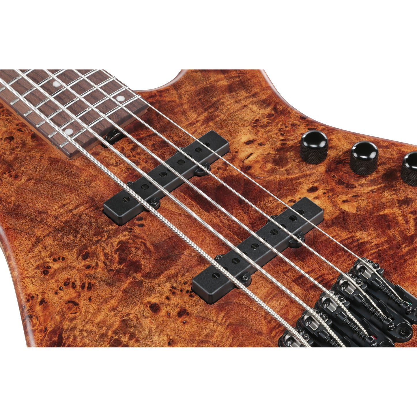 Ibanez MDM1605 MDM 5-String Electric Bass - Natural Mocha Low Gloss