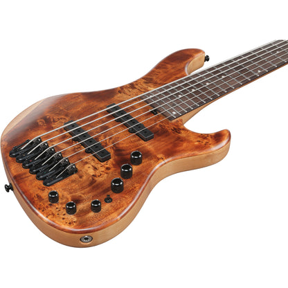Ibanez MDM1606 MDM 6-String Electric Bass - Natural Mocha Low Gloss