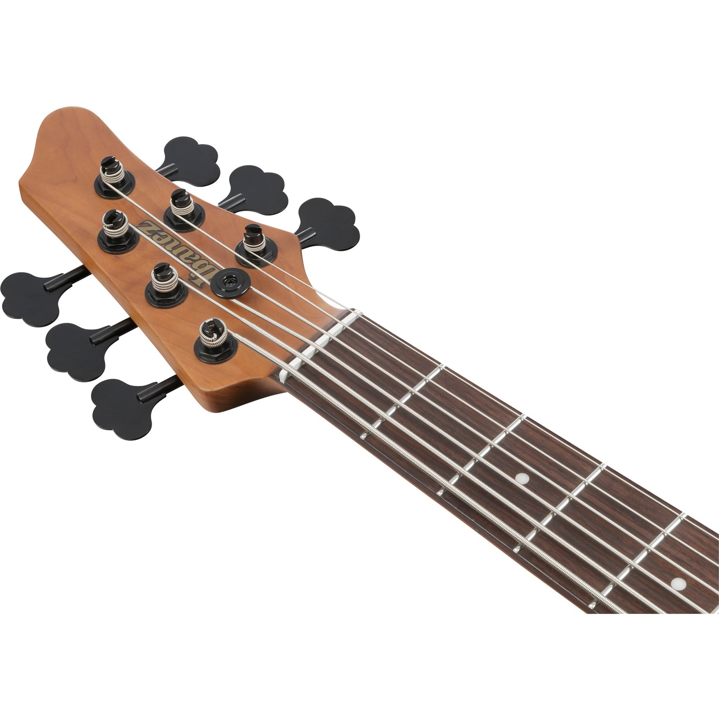 Ibanez MDM1606 MDM 6-String Electric Bass - Natural Mocha Low Gloss