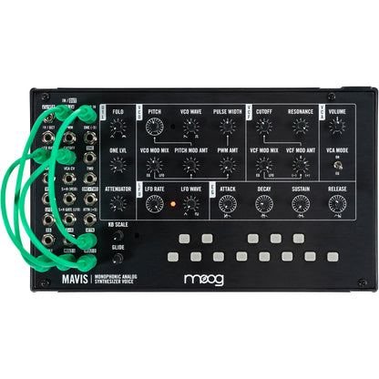 Moog Mavis Monophonic Analog Synthesizer