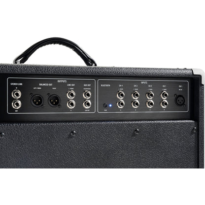 Moog Model 112 1x12 Instrument Amplifier