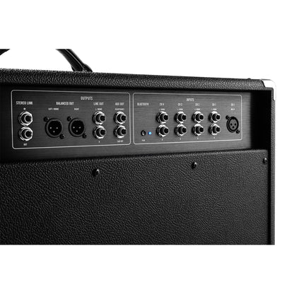 Moog Model 210 2x10 Instrument Amplifier