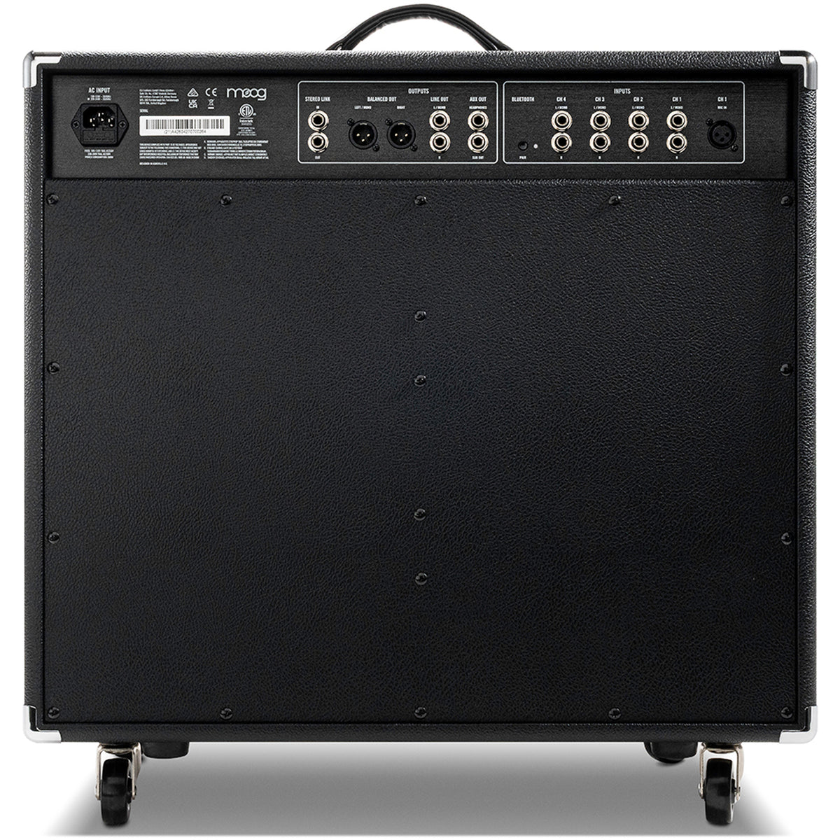 Moog Model 210 2x10 Instrument Amplifier
