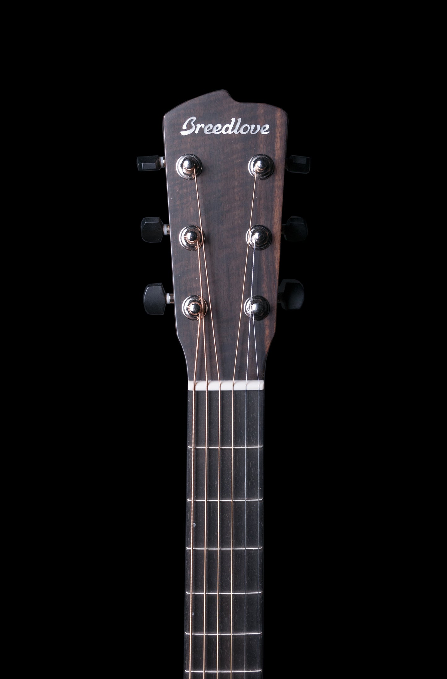 Breedlove Oregon Series Dreadnought Acoustic-Electric Guitar - Natural w/ Case (OREGONDREAD)