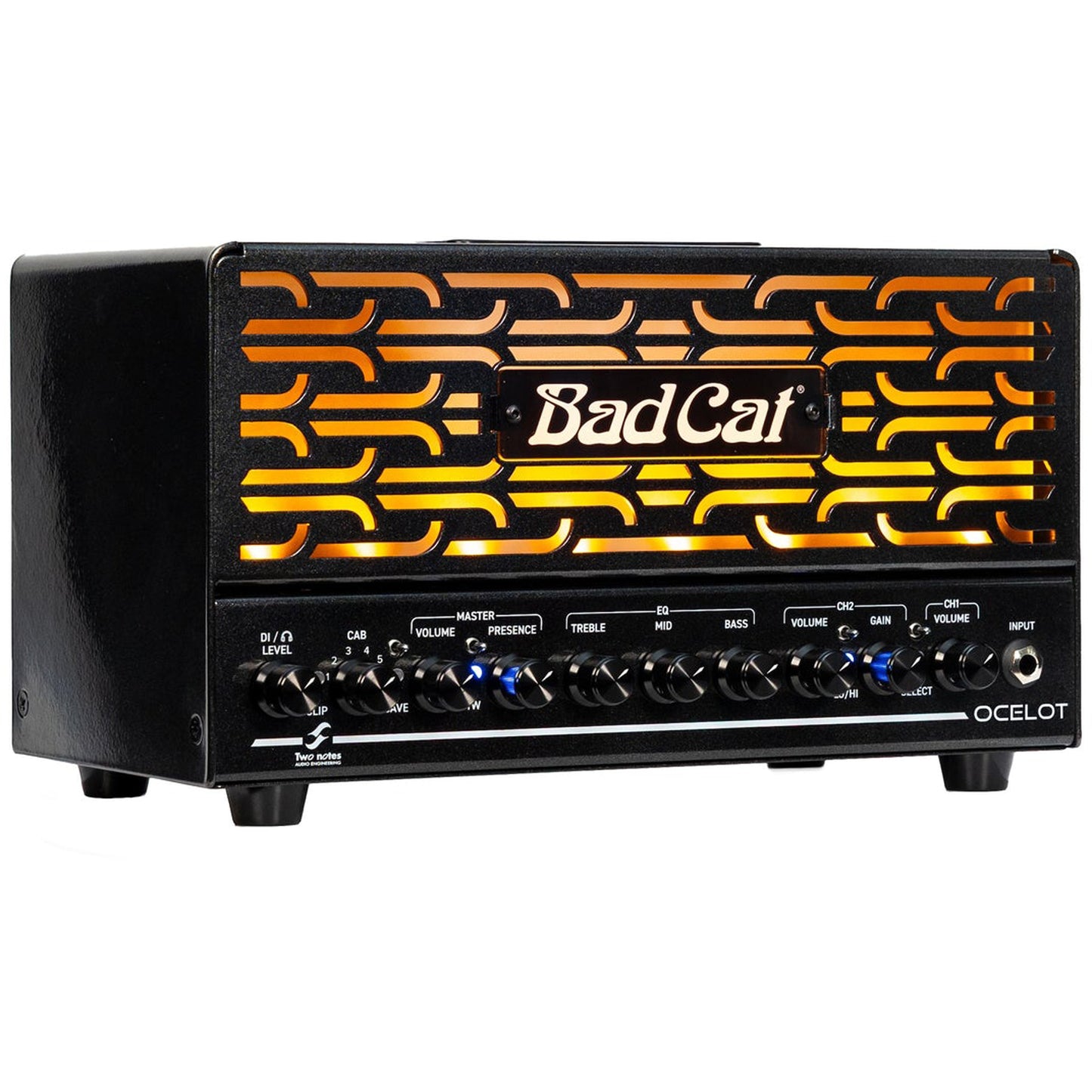 Bad Cat Ocelot 25W Tube Amp Head