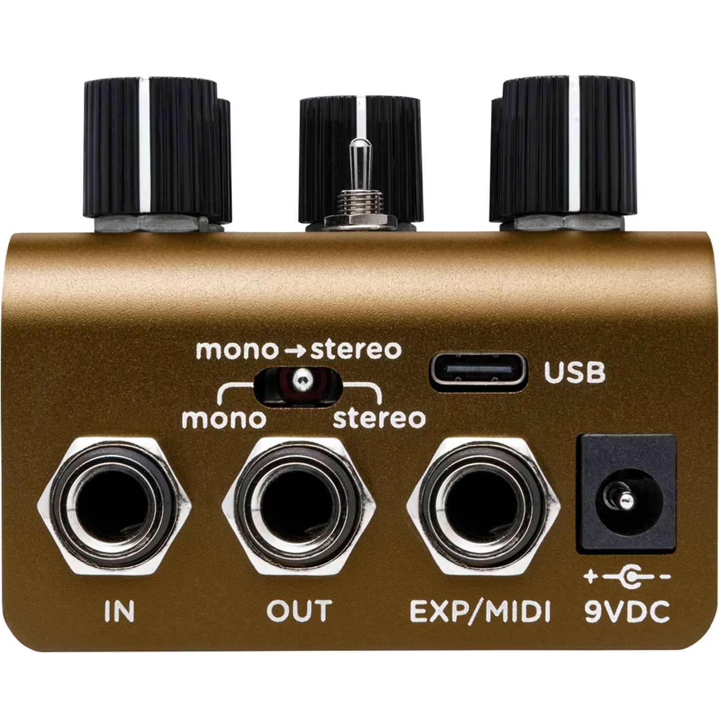 Strymon Olivera Vintage Oil Can Echo