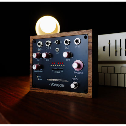 Vongon Rosetones 12-Voice Polyphonic Resonant String Synthesizer