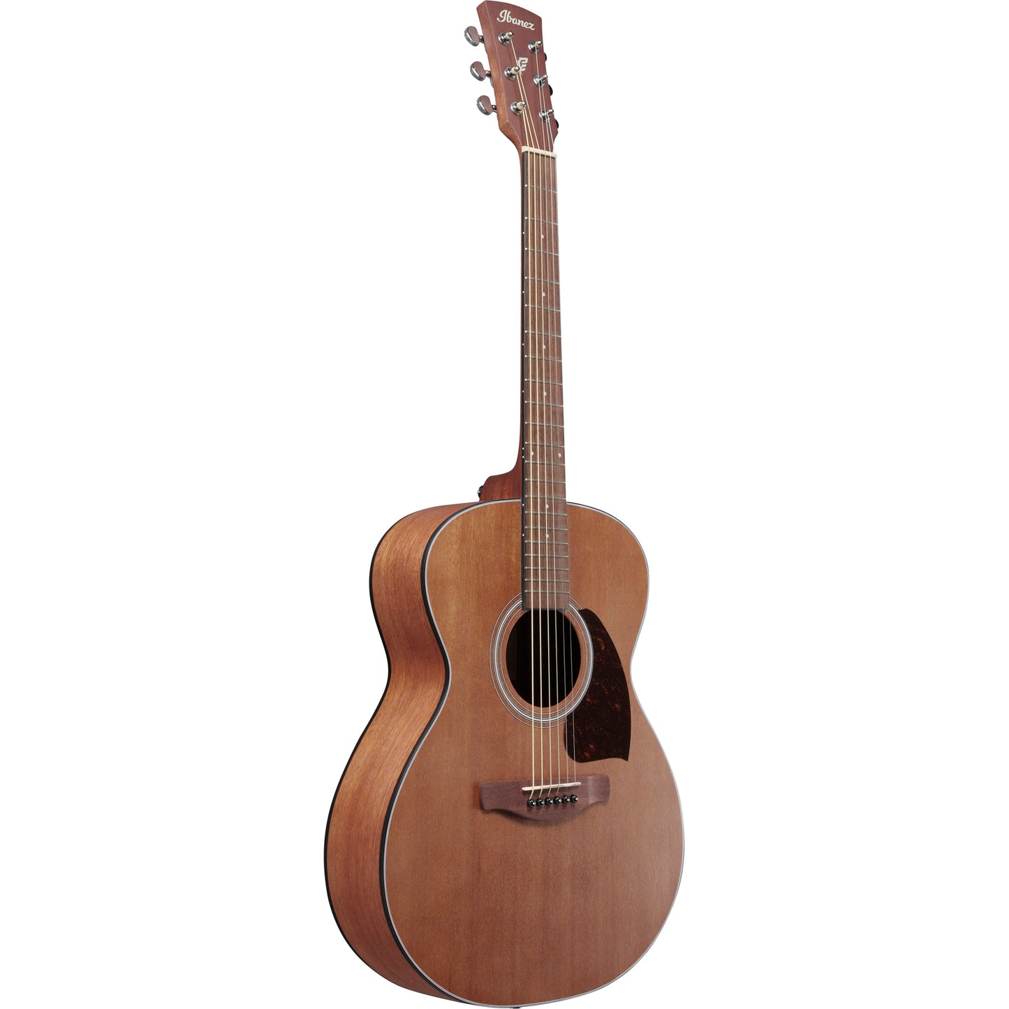 Ibanez PC54 6 String Acoustic Guitar - Open Pore Natural