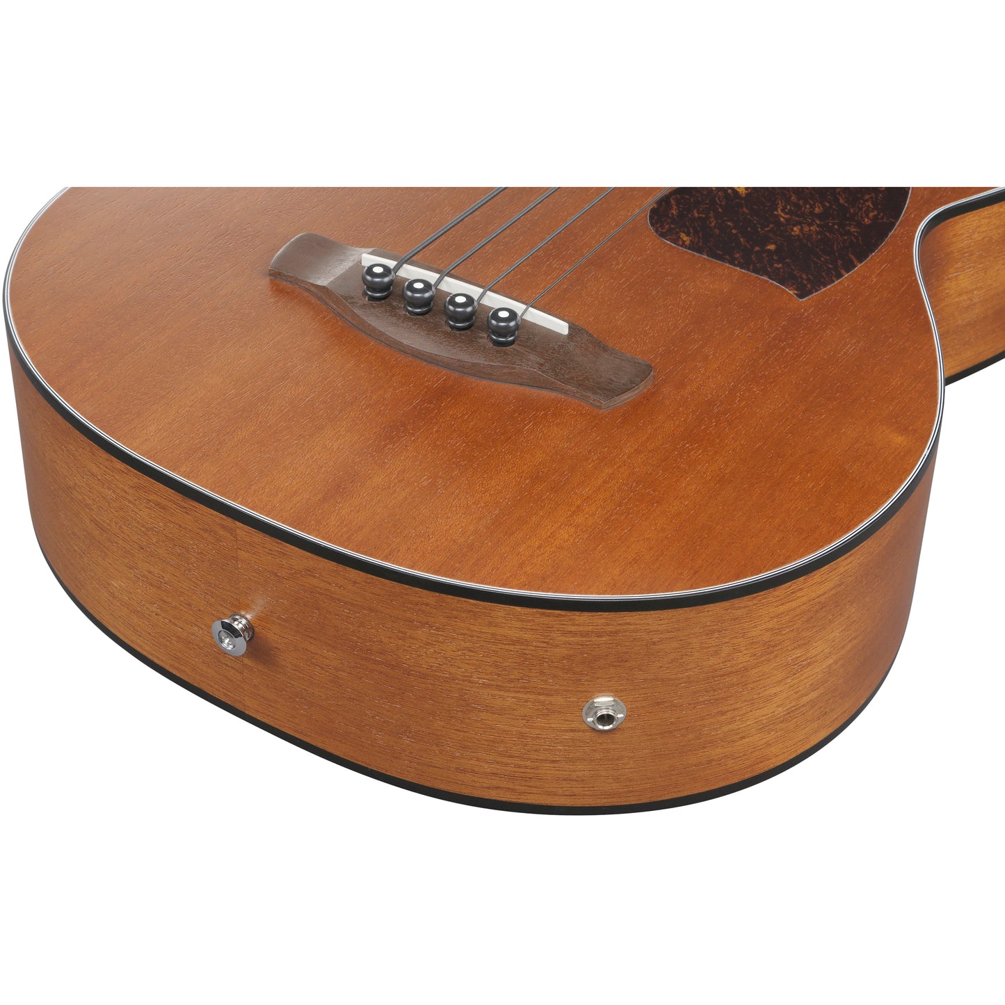 Ibanez PCB54E PCB Acoustic Electric Bass - Open Pore Natural