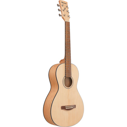 Ibanez PN2MD PN Acoustic Guitar - Open Pore Natural