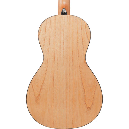 Ibanez PN2MD PN Acoustic Guitar - Open Pore Natural