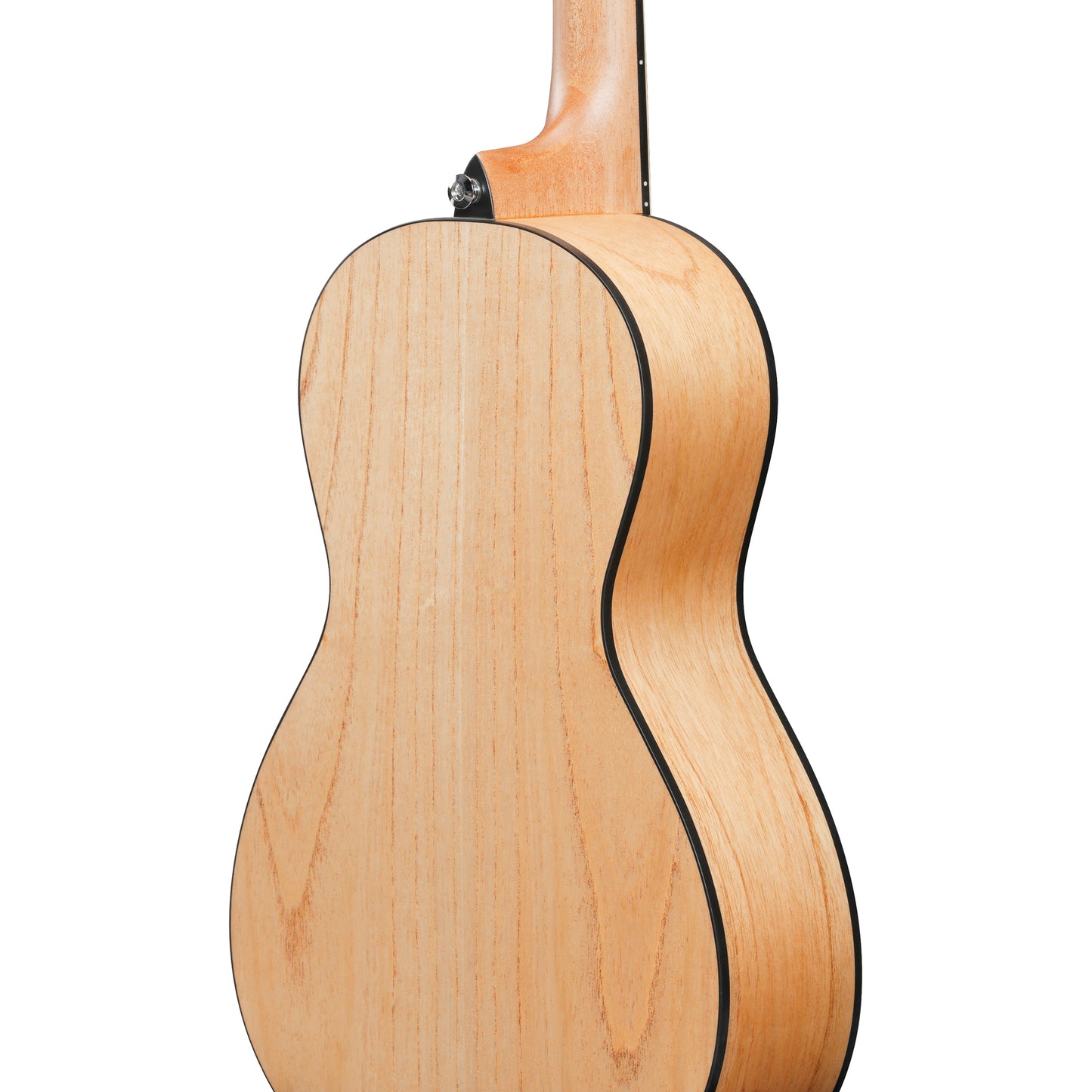 Ibanez PN2MD PN Acoustic Guitar - Open Pore Natural