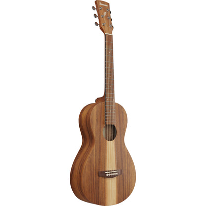 Ibanez PN2WS PN Acoustic Guitar - Open Pore Brown