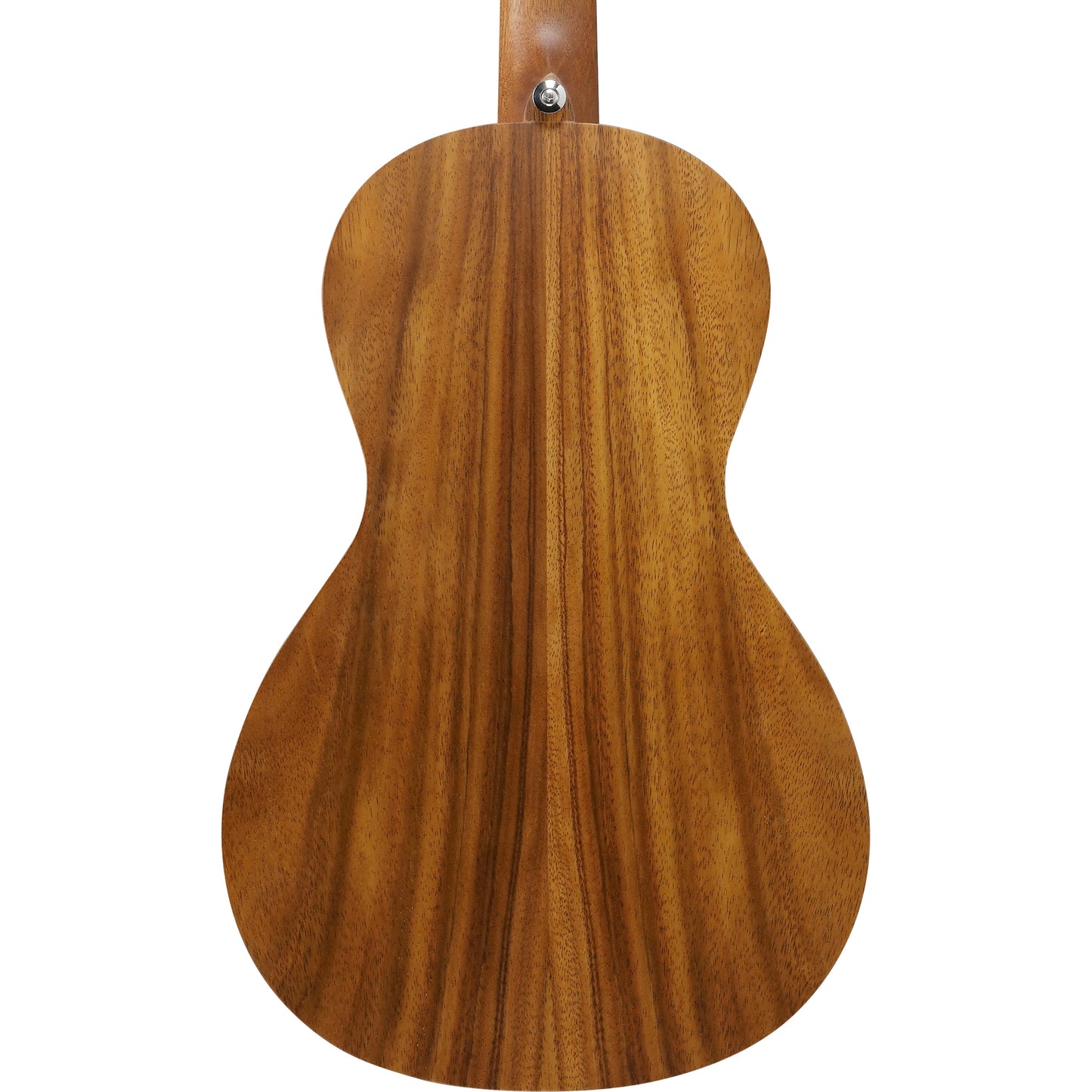 Ibanez PN2WS PN Acoustic Guitar - Open Pore Brown