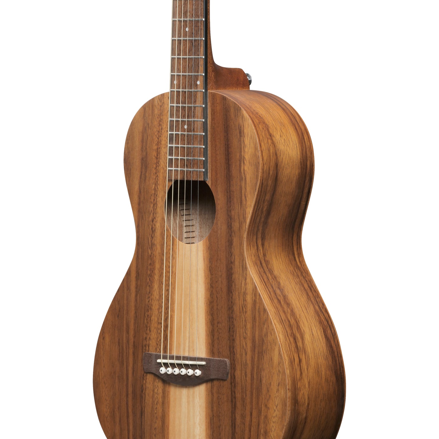 Ibanez PN2WS PN Acoustic Guitar - Open Pore Brown