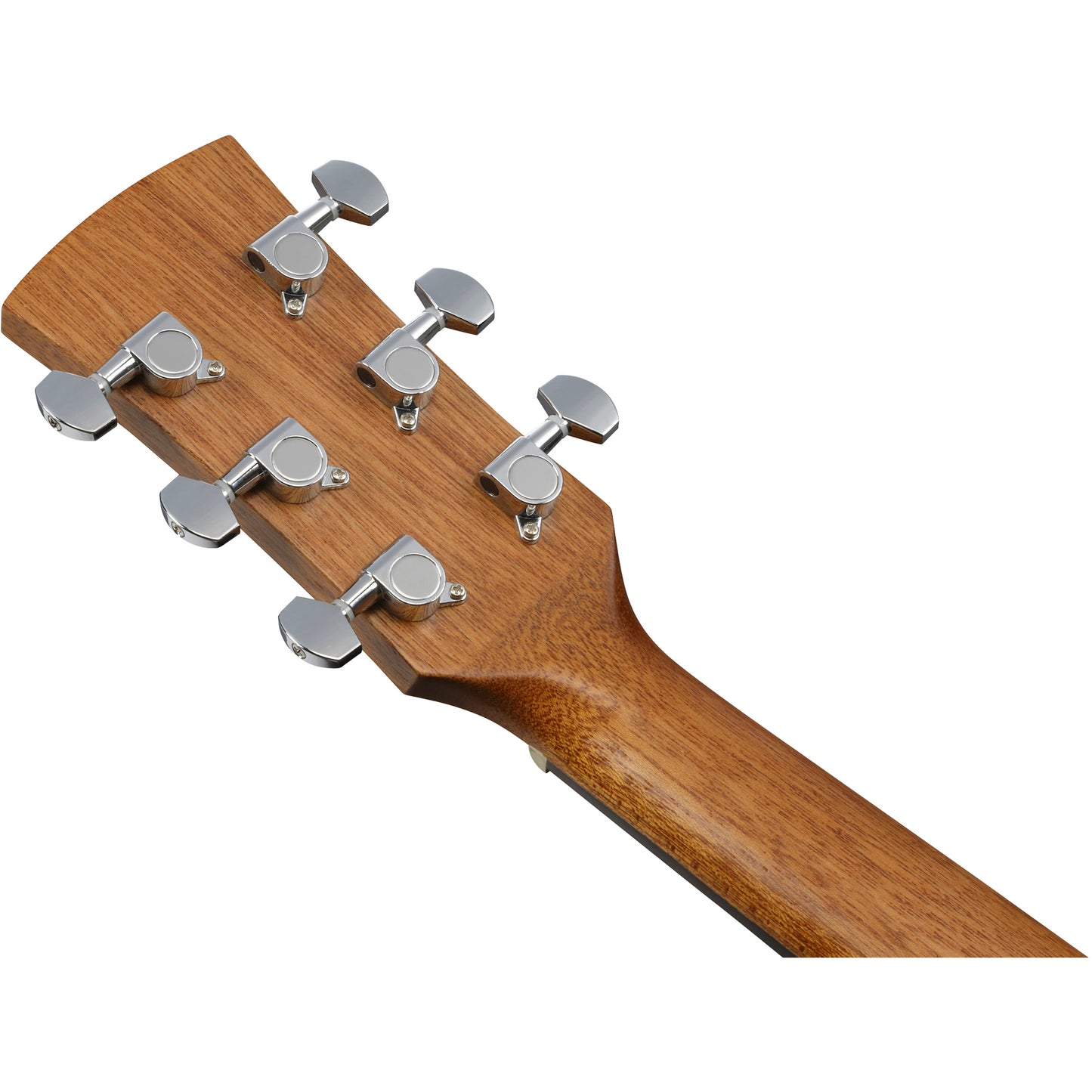 Ibanez PN2WS PN Acoustic Guitar - Open Pore Brown