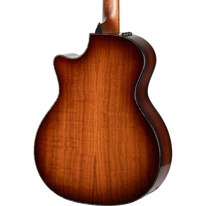 Taylor PS14ce Ironbark/Sinker Redwood Acoustic Electric Guitar - Shaded Edgeburst