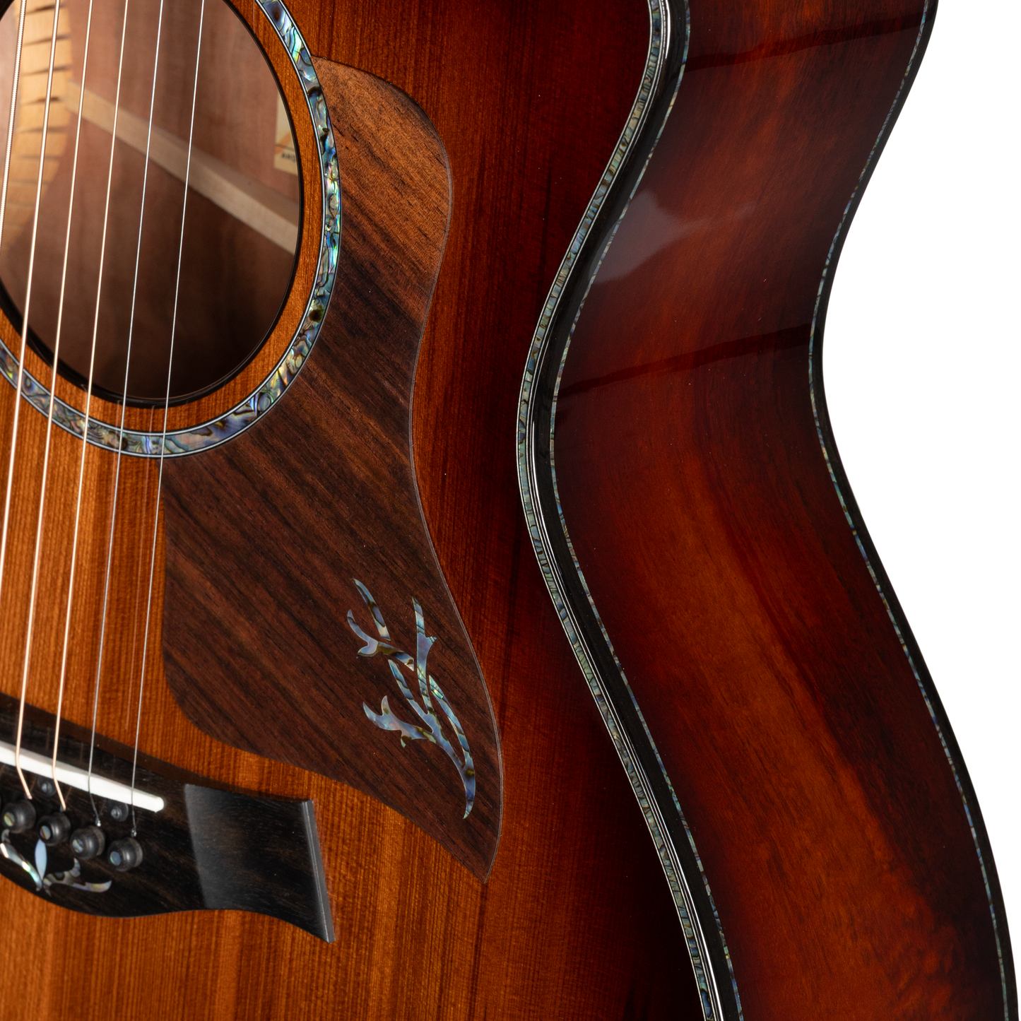 Taylor PS14ce Ironbark/Sinker Redwood Acoustic Electric Guitar - Shaded Edgeburst
