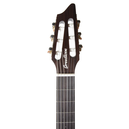 Breedlove Pursuit Series Concert Nylon CE Acoustic Electric Guitar w/ Bag