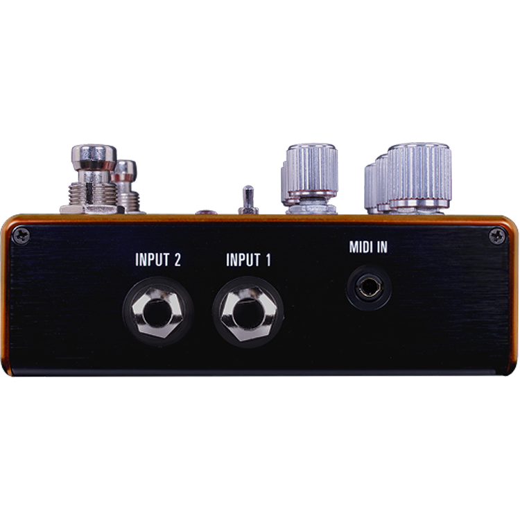 Source Audio Pathways Reverb & Tremolo Pedal