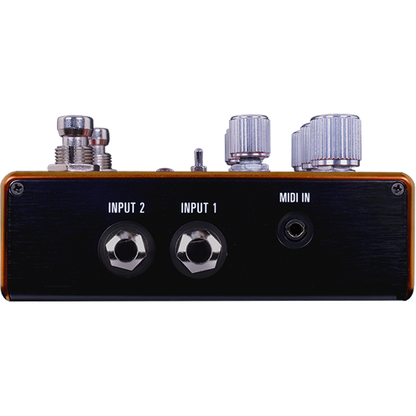 Source Audio Pathways Reverb & Tremolo Pedal