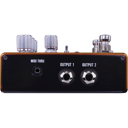 Source Audio Pathways Reverb & Tremolo Pedal