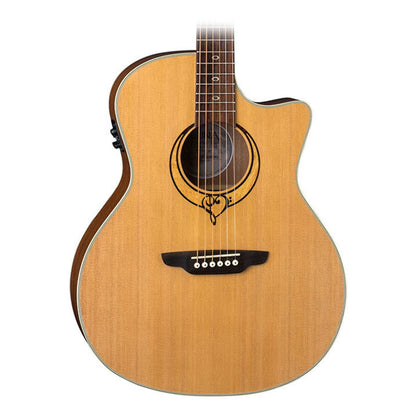 Luna Heartsong Grand Concert Acoustic Electric Guitar with USB